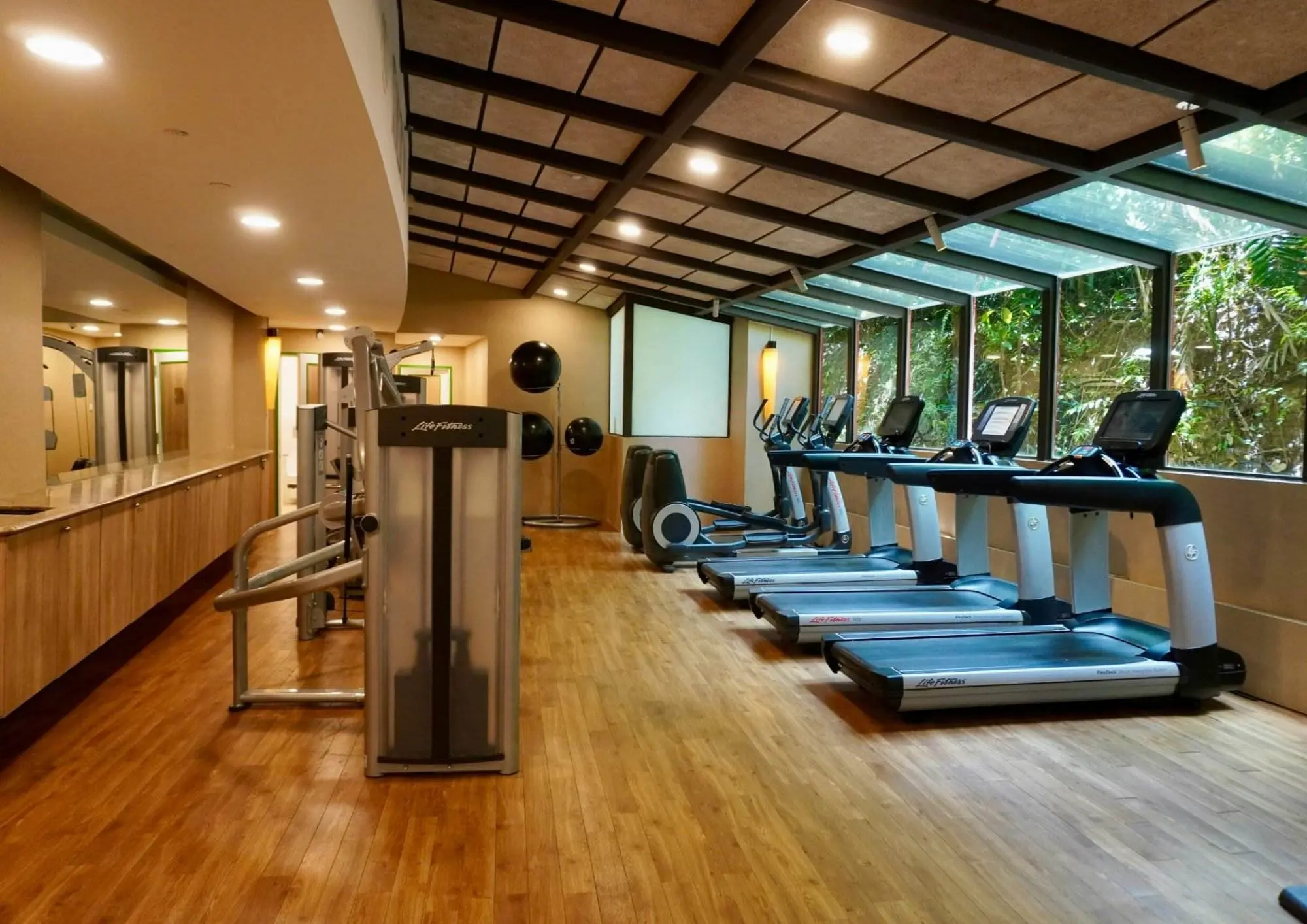 Gym with treadmills and machines
